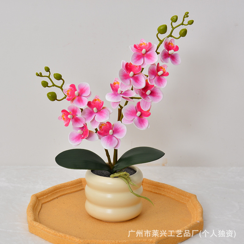Tire basin-rose red