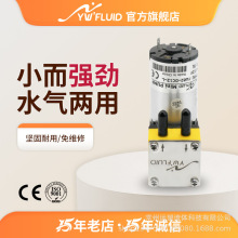 微型水泵12V小体积24V泵 大流量循环尿素泵真空隔膜泵 YW02-DCL