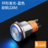 Self-lock-ring-blue 220V