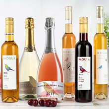 ���ݾƚ��ݱ��ư����Ѿ���������F������Ůʿ�Ͷ���t��6֧�b