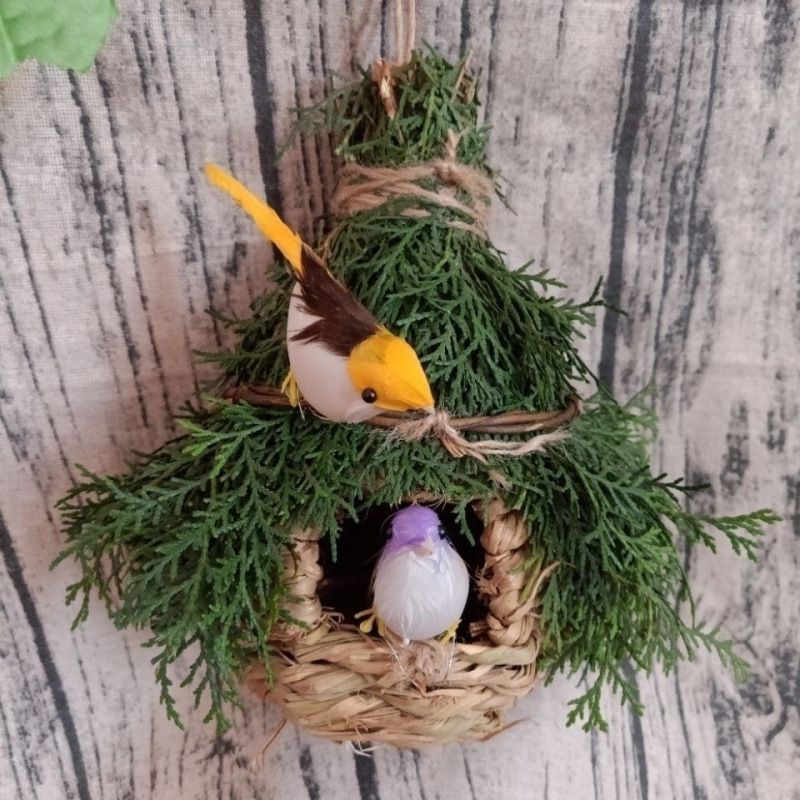 신선한 소나무 잎 새 둥지 2개로 새 4마리를 무료로 얻을 수 있습니다.