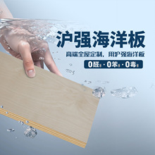 沪强海洋板桦木板OSB板防水胶合板ENF级实木家具板柜体板免漆板