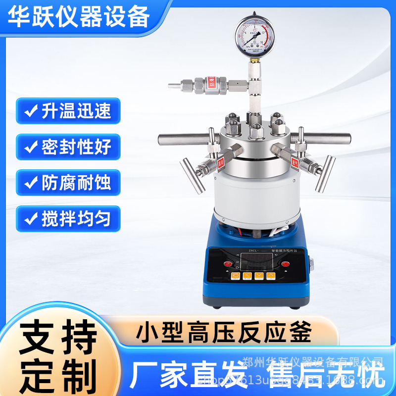 简易微型高压反应釜实验室小型不锈钢磁力搅拌高压釜高气密消解罐