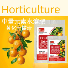 黄化一撒清撤退青柑橘花黄化病果樹専用転緑栄養強健勢卸売りクロスボーダー