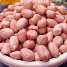 花生新花生米现剥精选无壳新货粉皮新鲜大粒榨油白沙花生米生商用