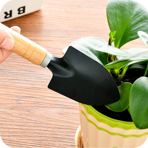 Wholesale flower planting tools for household vegetable cultivation, flower cultivation, succulent flower shovel, soil loosening, potted planting shovel, gardening scissors, small shovel