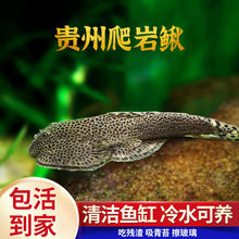 �F�������q�����~�p���P��ˮ����򲻼Ӝس����~�~���坍��ԭ���~