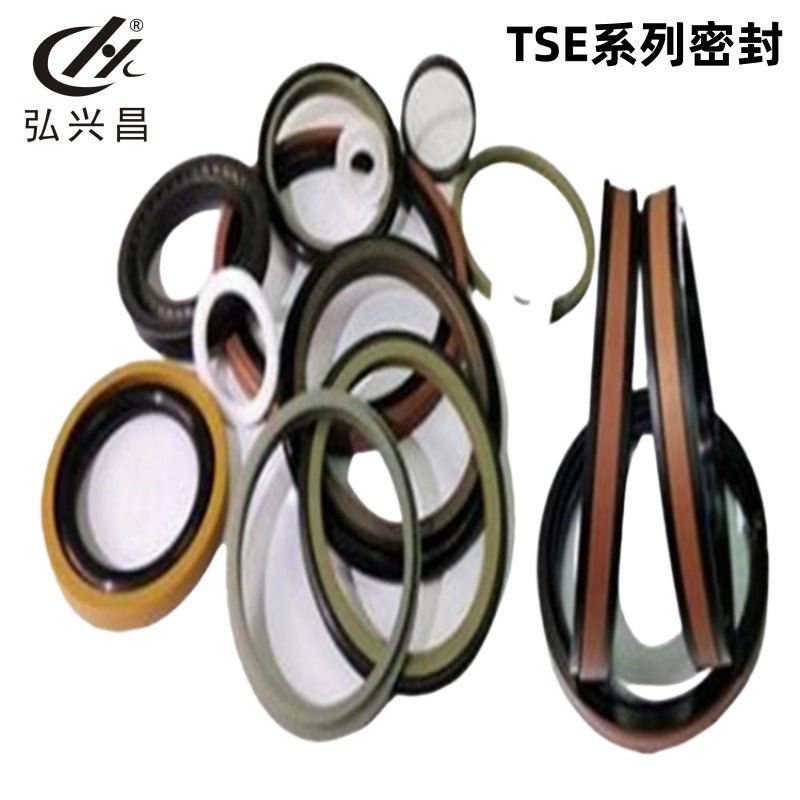 厂家直供 孔轴两用油封 意大利TECNOLAN TSE系列密封件 非标件