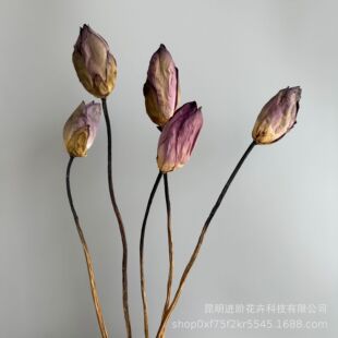 �ɻ��ɻ����~ɏ��������ins�Ҿ��b�diy�廨��ˇ�b���Ͽ羳���l
