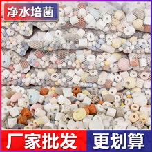 鱼缸过滤材料鱼池海鲜池滤材珊瑚骨陶瓷环火山石活性炭陶瓷环材料