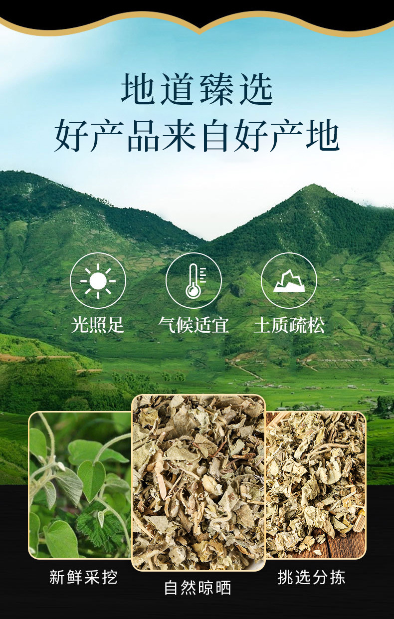 Xun Gu Feng (Aristolochia mollissima) — Dried Chinese Herbal Root for Decoction & Custom Grinding overview