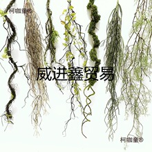 ̦�\���ٿ���ɭϵ�쾰�b[�ż��ٗl��̦�ٴ�����И�֦����̫��