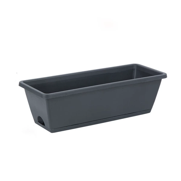 Dark gray+Cato