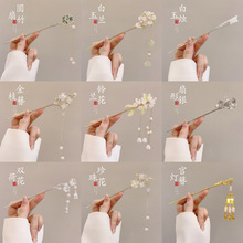 ����ʽ�߼��к��X�װl���^��R��ȹ���u���K�l�OŮ�h����������