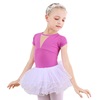 Children's dance service girl practice clothes short -sleeved puffy skirt Chinese dance girl ballet gauze skirt conjoined clothing clothing