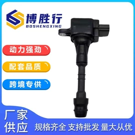 油泵、油嘴;点火线圈;其他发动系统