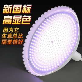 新国标生鲜灯猪肉灯水果海鲜灯卤菜熟食灯白光鲜肉市场LED生鲜灯