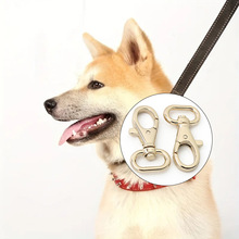 2025�¿�����~�������h�ۼӺ���P�Ͻ�耳׿�朗l���������l