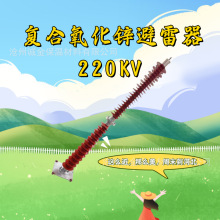 HY5CX1-13/35线路过电压保护器避雷器FHY5C-10C外间隙避雷器