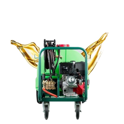 Gasoline Diesel High, Other Portable car washer