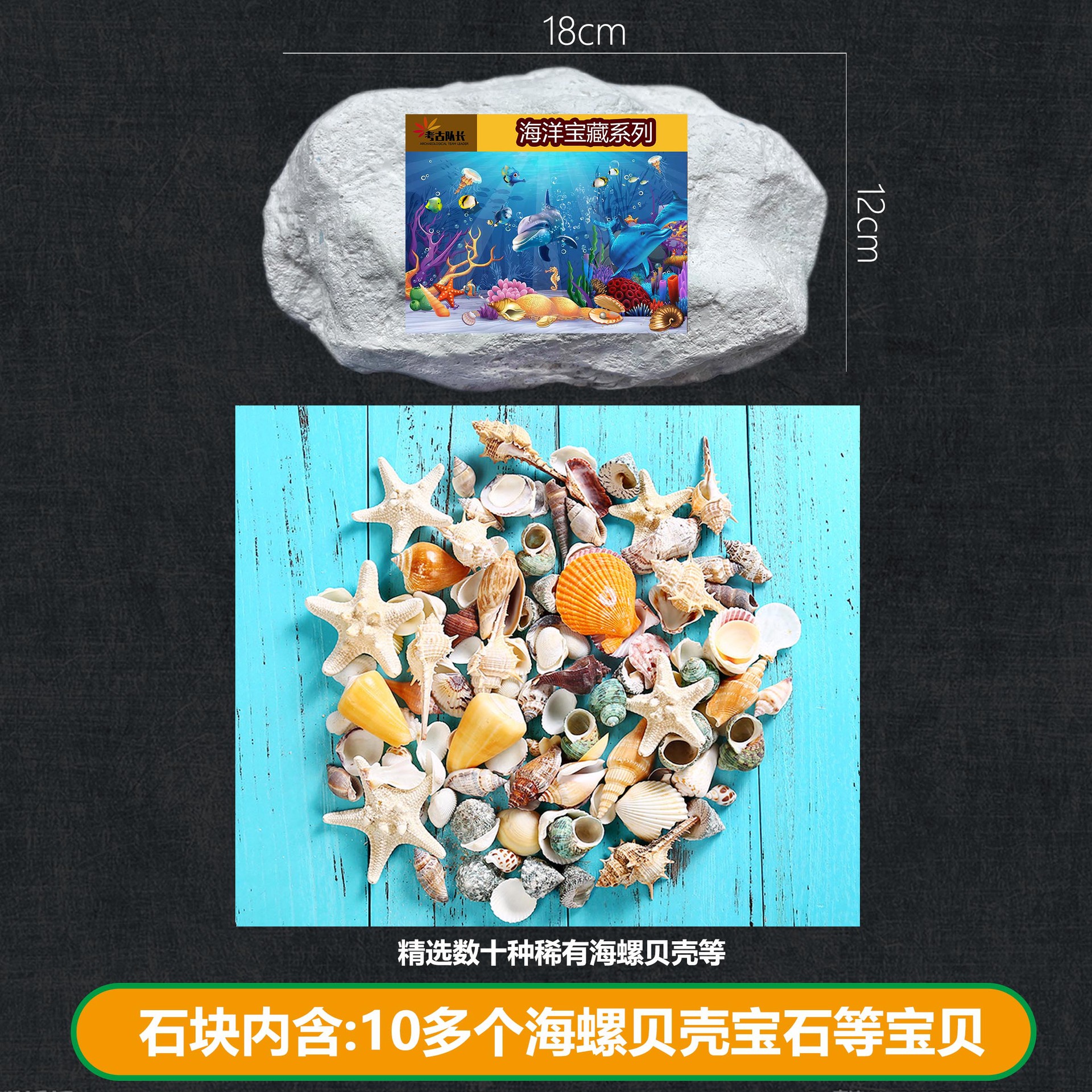 B 큰 돌 [바다 보물] 실제 해양 생물/도구를 보내지 마십시오