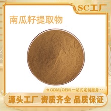 南瓜籽提取物 水溶植物提取粉原料厂家现货批发 南瓜籽粉量大从优