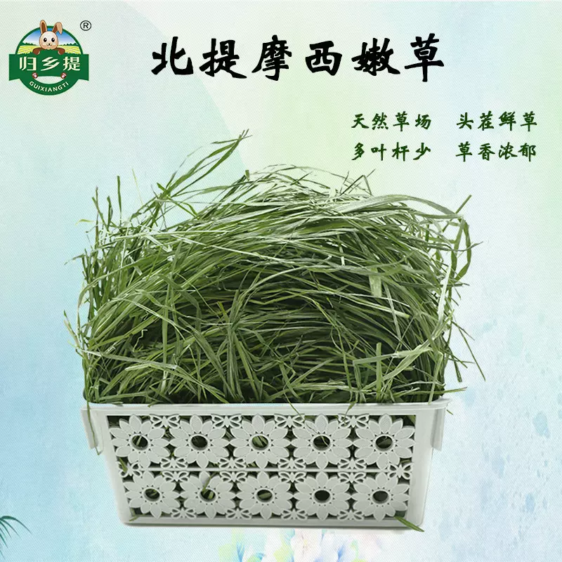 25归乡烘干提摩西兔肉嫩草兔子豚鼠粮草荷兰猪牧草厂家批发饲料