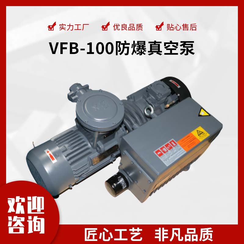 VFB-100单级旋片微型特种真空油泵 水环式水循环增压泵