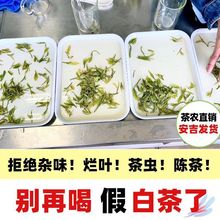 2022新茶安吉高山云雾白茶明前特级绿茶一芽一叶春茶礼盒厂家直销