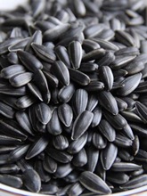 油葵黑珍珠瓜子生香5斤年货小油葵花籽2斤炒货熟奶油薄盐原味批发