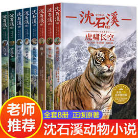 沈石溪动物小说全集全套8册四年级至六年级必读的课外书老师推荐