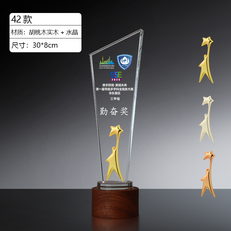 Trofeo de Cristal Personalizado de Cristal Blanco y Nogal para Premios image 48