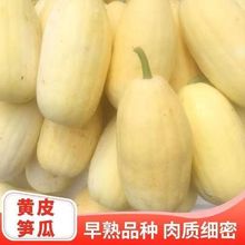 �SƤ�S�ϷN���^�pʳ�þ�������a�ó�������ɫ�ϹϷN�Ӵ�ȫ
