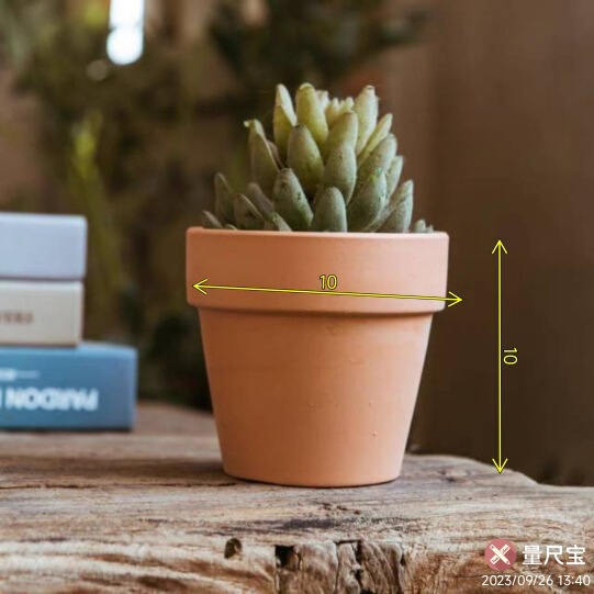 赤い陶器の植木鉢、吸水性、通気性、根腐れしない粘土トレイ、浮遊粘土ポット、大型の緑の植物多肉植物ポット|undefined