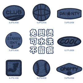 钮扣;布贴;胸针