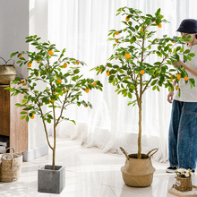 柠檬树绿植盆栽北欧ins风网红大型室内装饰花客厅摆件假植物