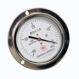 雪浪特种仪表 多种规格快速测压精准YE-60型膜盒压力表