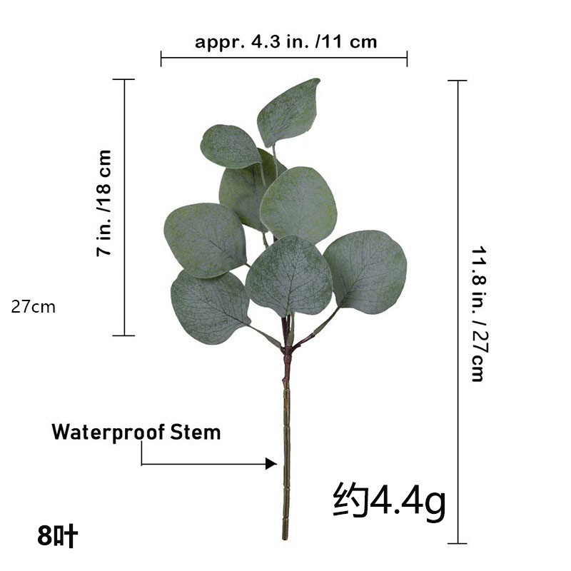 유칼립투스 껌 싱글 약 27cm4.4g 8 잎