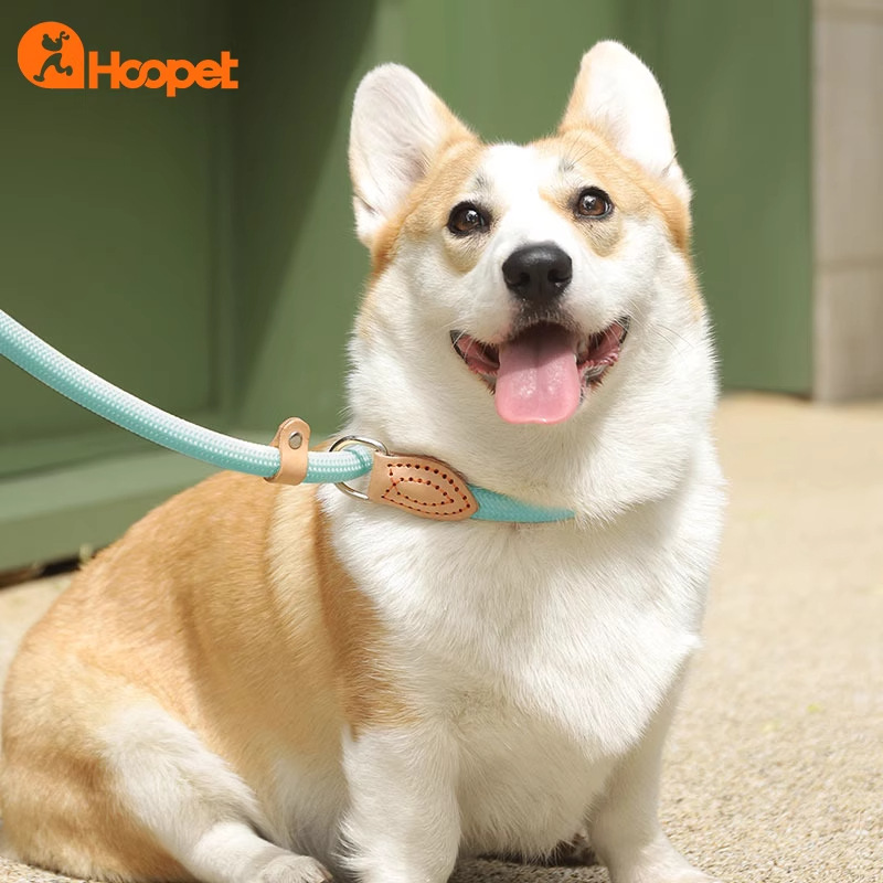 Correa de perro P cuerda correa de perro de una sola pieza anti-rotura perros medianos y grandes punzón a prueba de explosiones P cadena correa de perro Cadena de perro