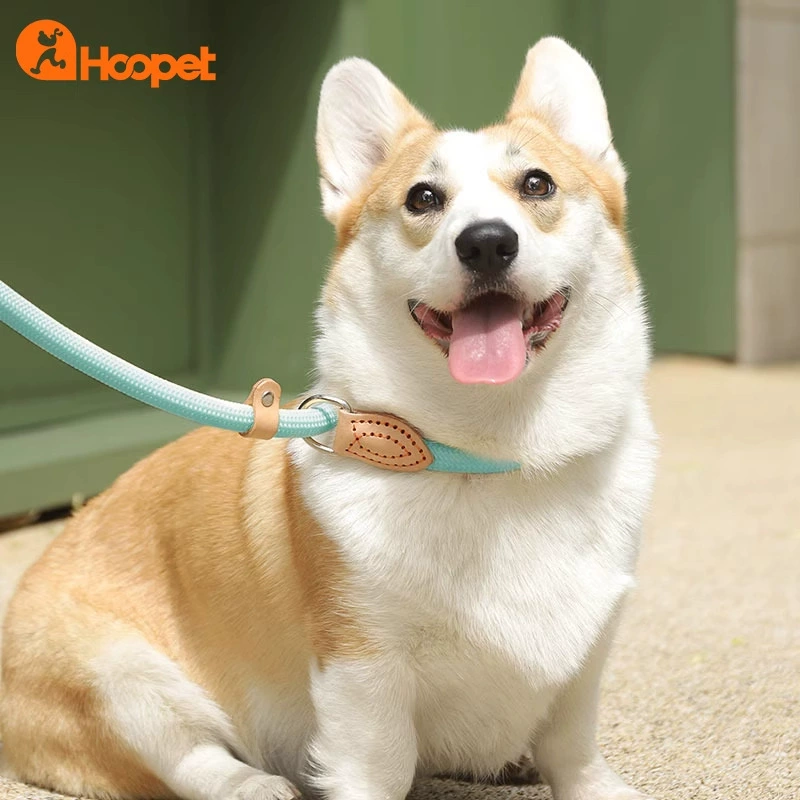 Собачий тяговый трос P веревка выгул собачий веревку все в одном