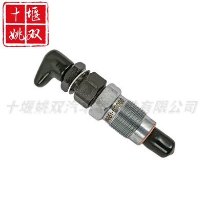 Oil pump, nozzle engine high pressure fuel common
