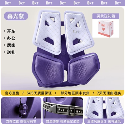 Waist support | Car Lumbar Support Cushion - twilight-purple-womens-gift-box