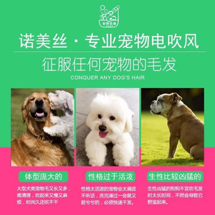 Pet Hair Dryer, High-Power Dog Silent, Strong Wind Bath, Special Water Machine for Large, Medium and Small Cats, Drying Artifact