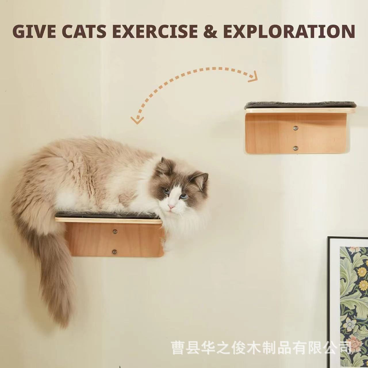 微信图片_20240722103323.jpg