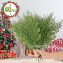�羳�����ɘ�֦�پGɫֲ�����~��ƬDIY���h�ٗl��ˇƷ�b��滨