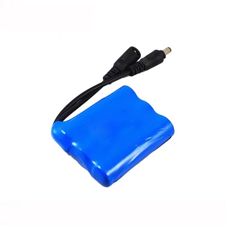 보호 플레이트가있는 12v 1200 mA