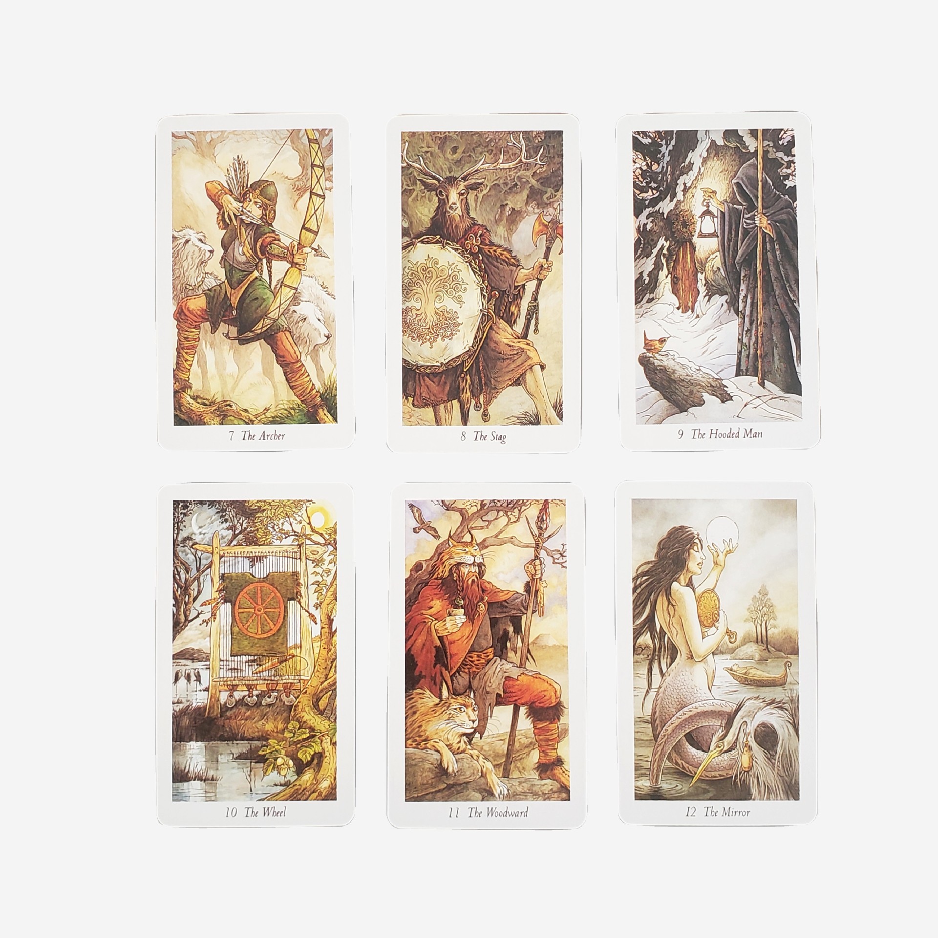 Carte da gioco tarot foresta naturale selvaggia per feste_voghion.com