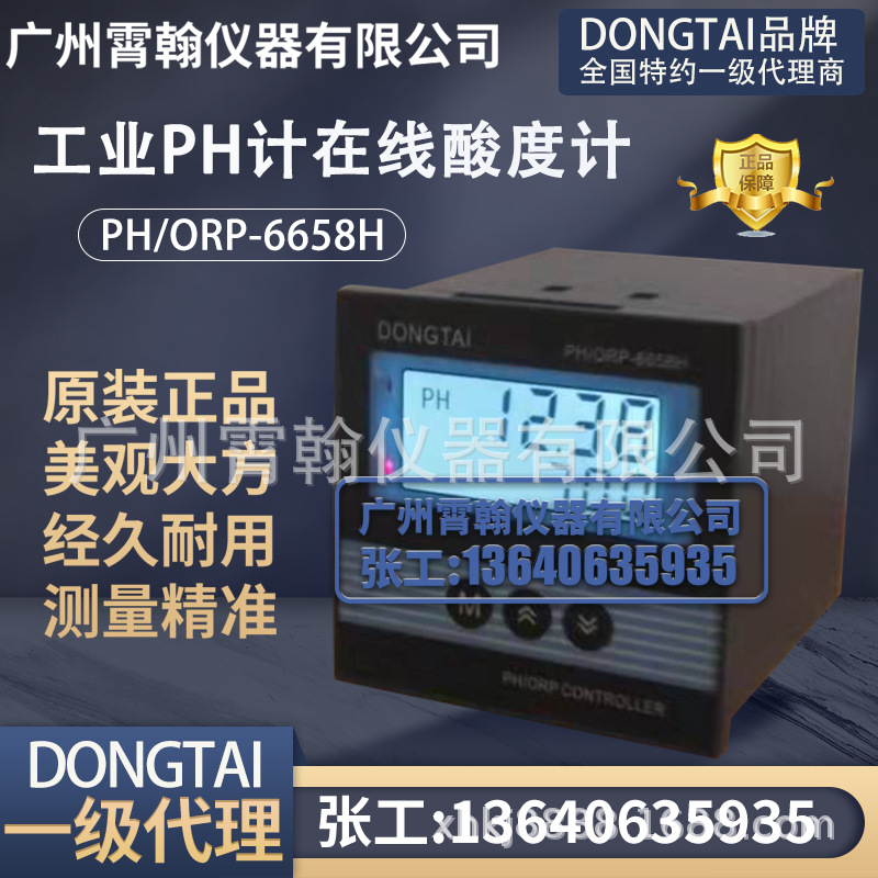 DONGTAI东泰PH计PH/ORP-6658H工业PH值酸度计仪表在线ORP计控制器