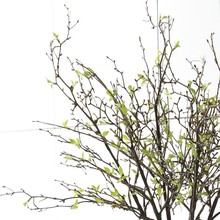 滨֦ѿٻҾbֲ֦ǰl֦ Ӳ֦ѿ֦