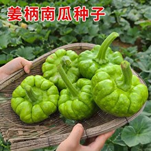 �����ϷN���������С�ϹϷN�Ѵ����׷N���ٹ��ļ��߲˷N��